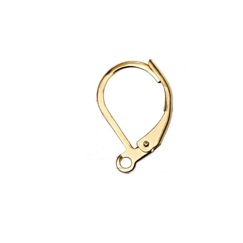 Earring hooks - steel - golden - 1 pair