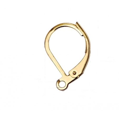 Earring hooks - steel - golden - 1 pair